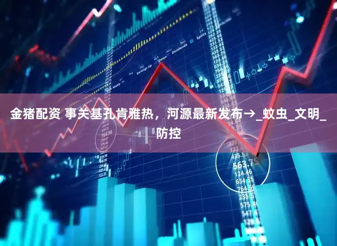 金猪配资 事关基孔肯雅热，河源最新发布→_蚊虫_文明_防控