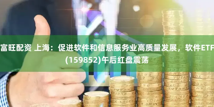 富旺配资 上海：促进软件和信息服务业高质量发展，软件ETF(159852)午后红盘震荡