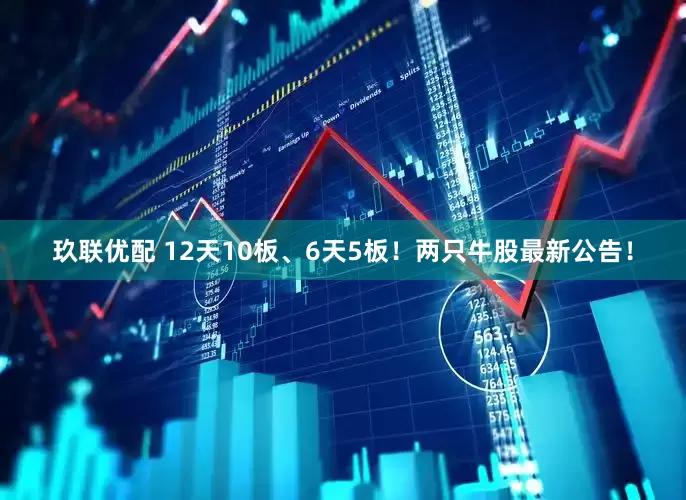 玖联优配 12天10板、6天5板！两只牛股最新公告！